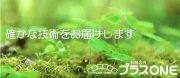 有限会社プラスONE